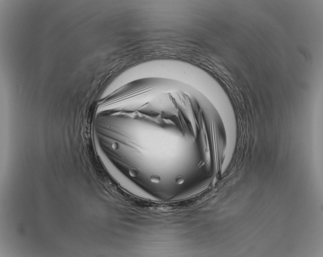 X0000113010419200909241356
