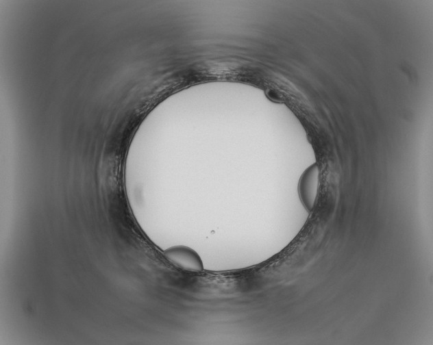 X0000113010421200909241356