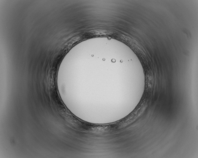 X0000113010422200909241356
