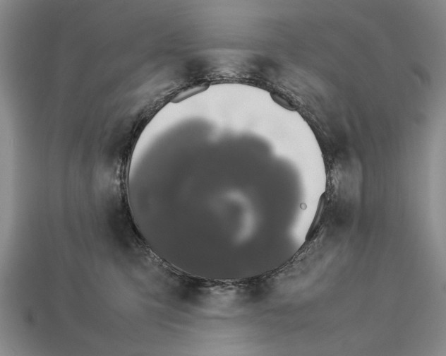 X0000113010423200909241356