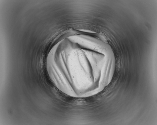 X0000113010424200909241356