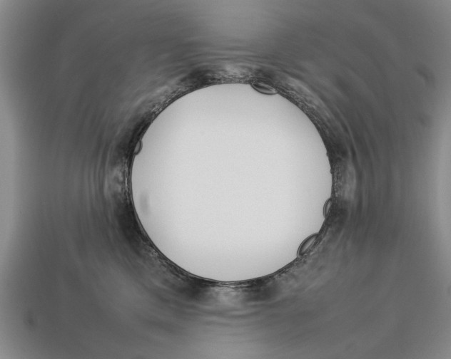 X0000113010425200909241356