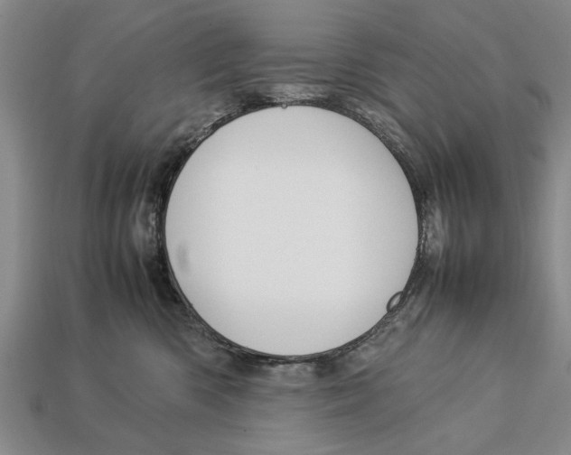 X0000113010426200909241356