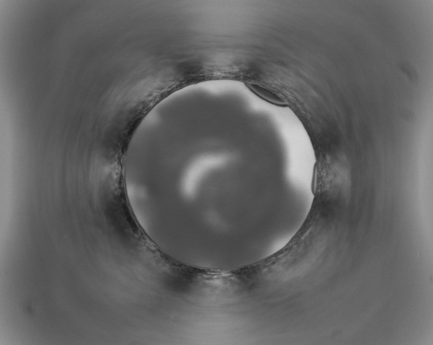 X0000113010427200909241356