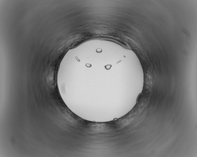 X0000113010428200909241356