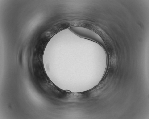 X0000113010429200909241356