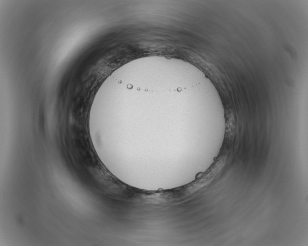 X0000113010430200909241356