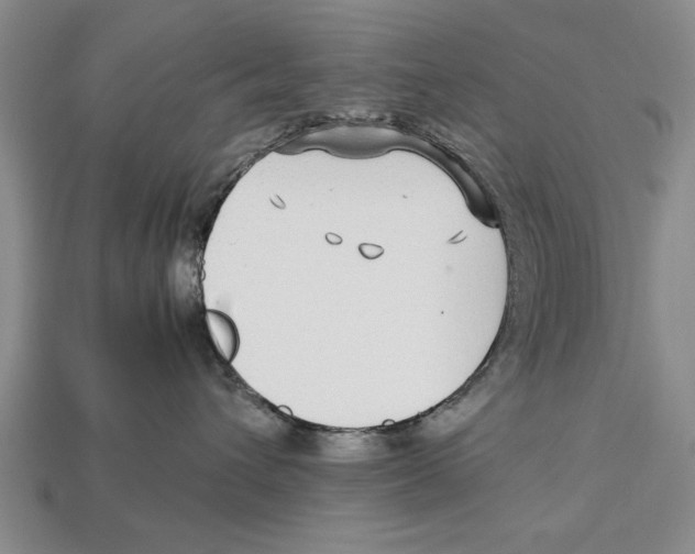 X0000113010432200909241356