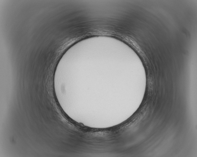 X0000113010433200909241355