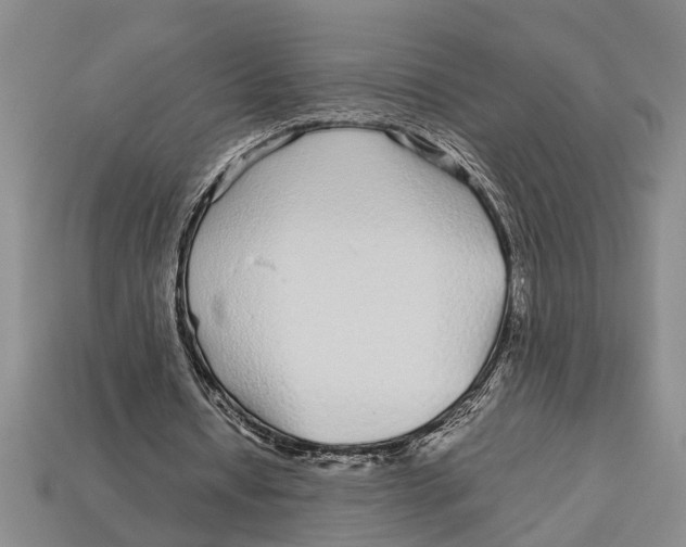 X0000113010434200909241355