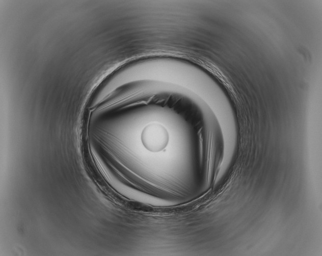 X0000113010436200909241355