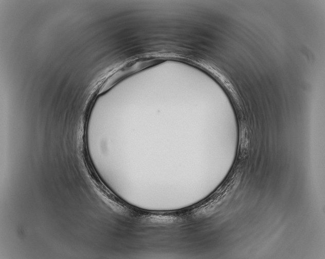 X0000113010437200909241355