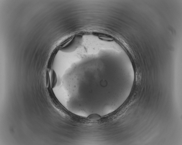 X0000113010438200909241355