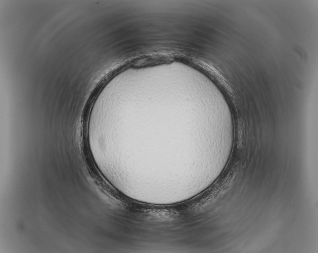 X0000113010439200909241355