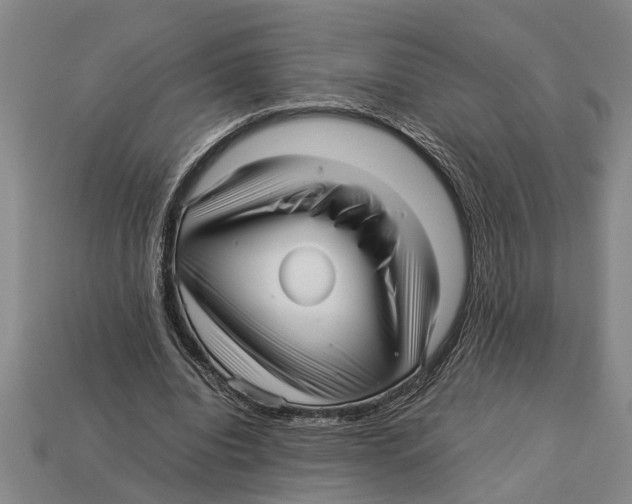 X0000113010440200909241355