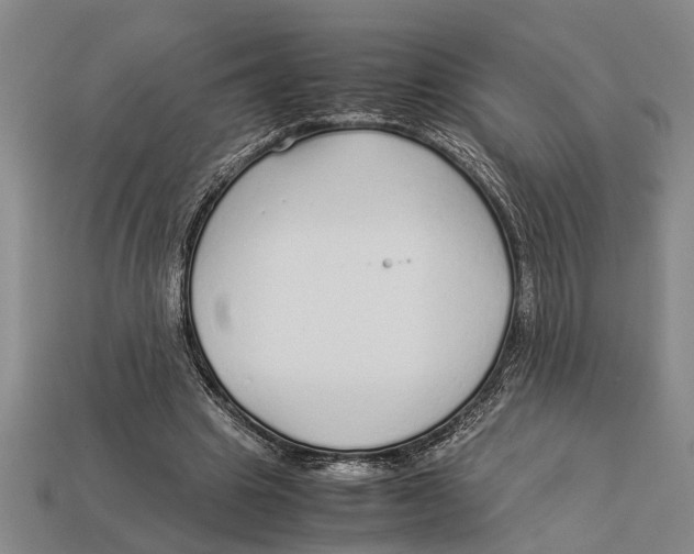 X0000113010441200909241355
