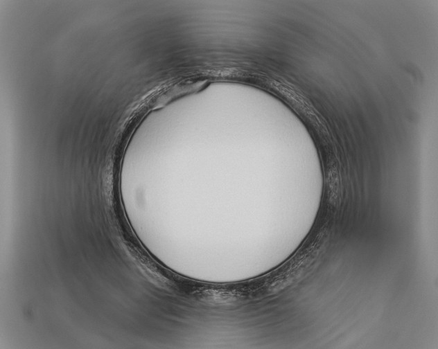 X0000113010442200909241355