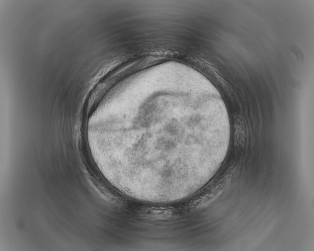 X0000113010443200909241355