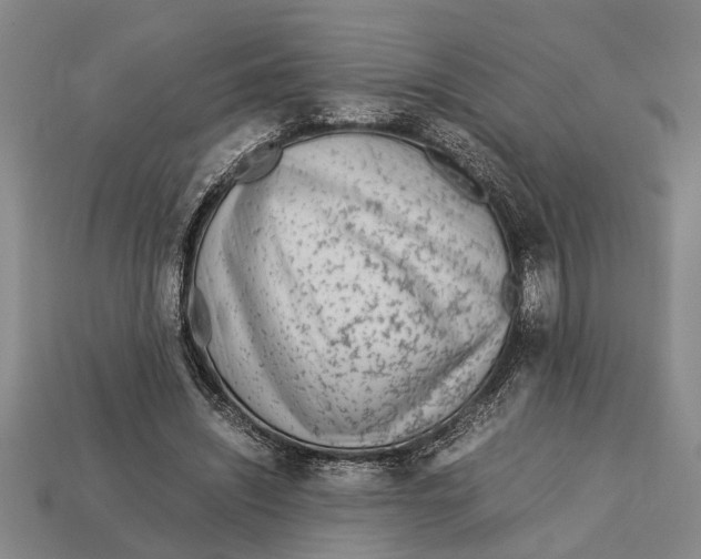 X0000113010444200909241355