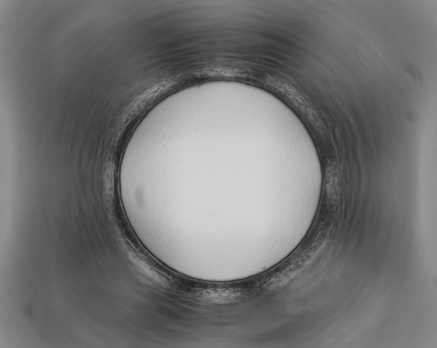 X0000113010445200909241355