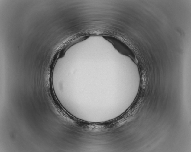 X0000113010446200909241355