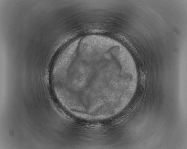 X0000113010447200909241355