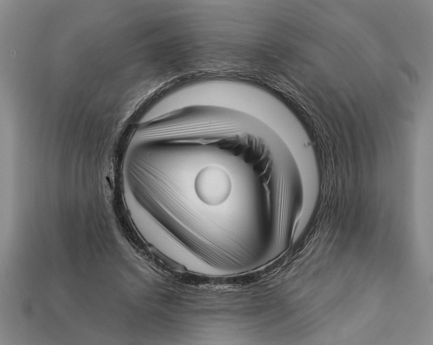 X0000113010448200909241355