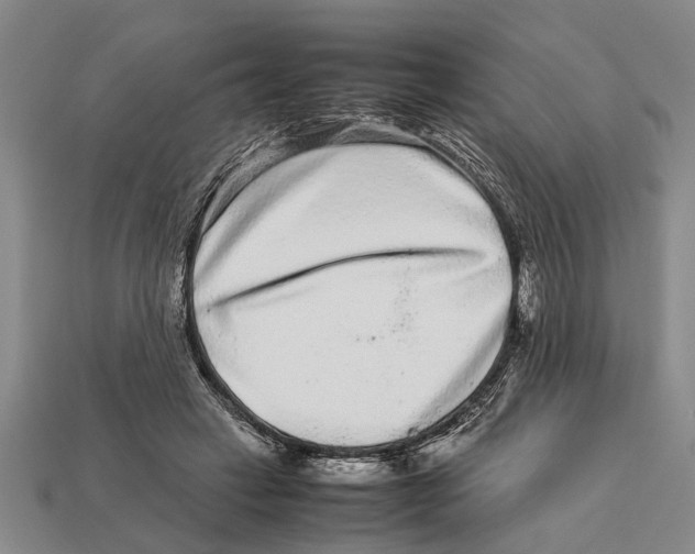 X0000113010449200909241355