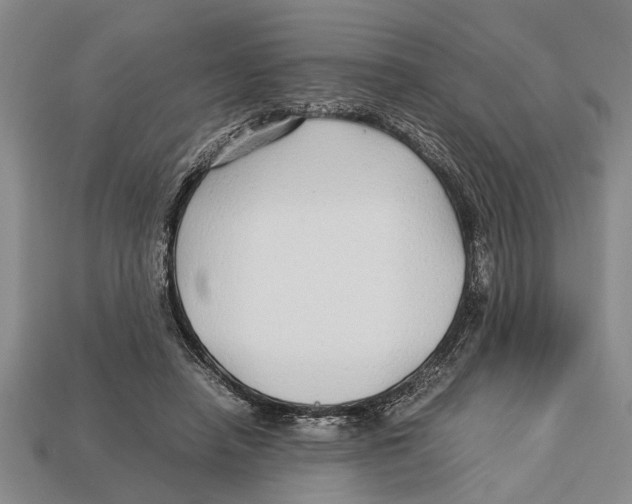 X0000113010450200909241355