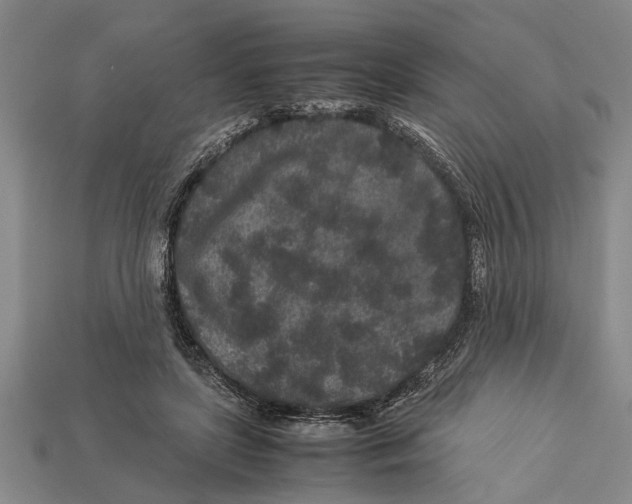 X0000113010451200909241355