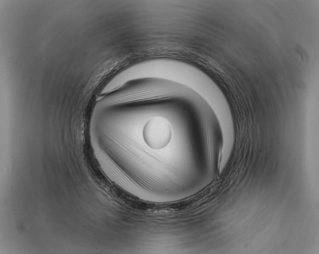 X0000113010452200909241355