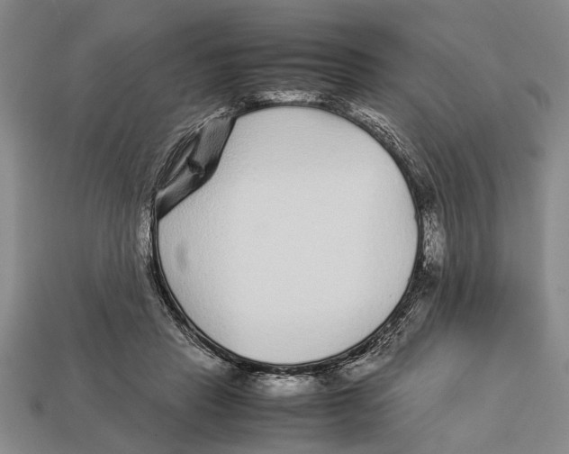 X0000113010453200909241355