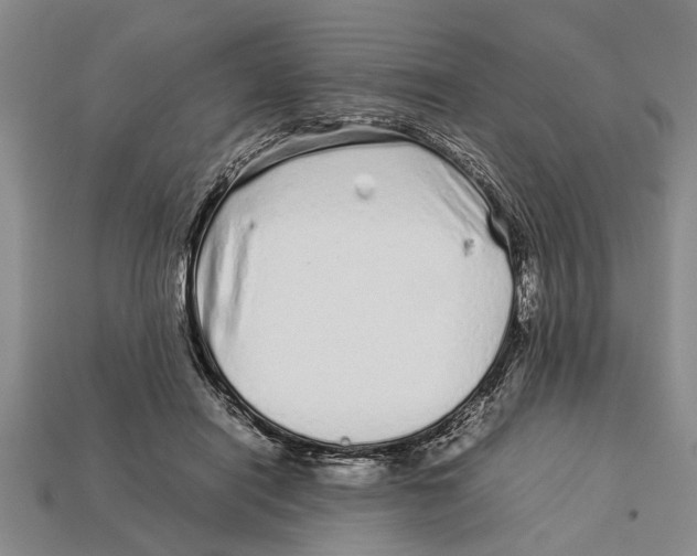 X0000113010454200909241355