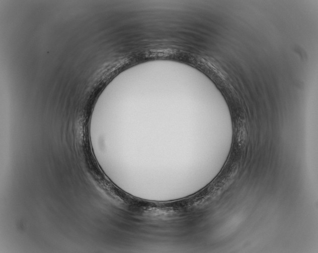 X0000113010455200909241356