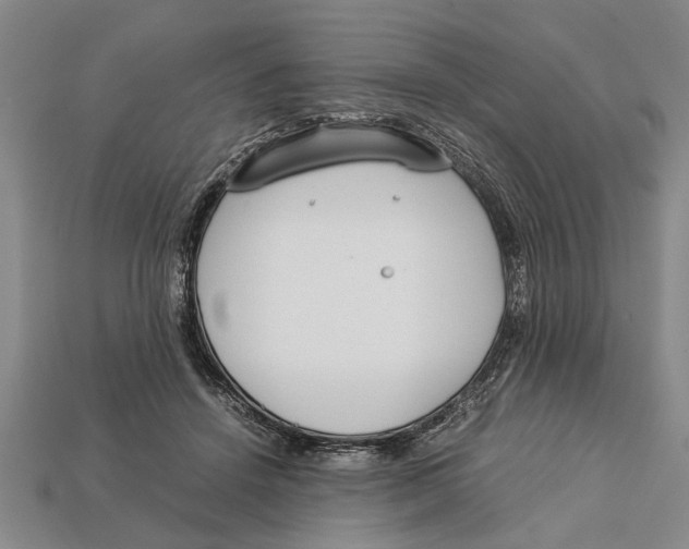 X0000113010456200909241356