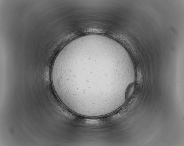 X0000113010457200909241356