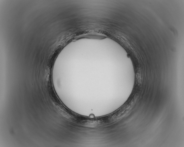 X0000113010458200909241356