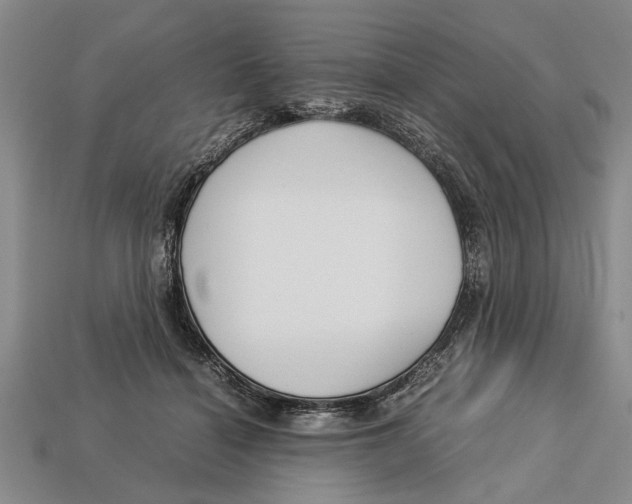 X0000113010460200909241356