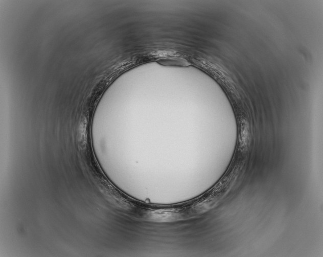 X0000113010461200909241356