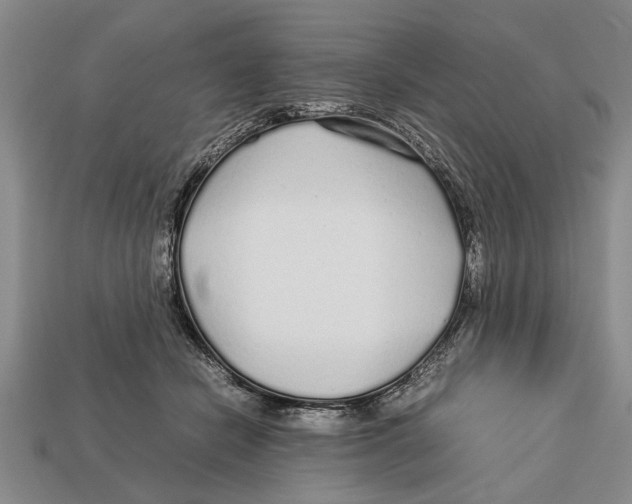 X0000113010462200909241356