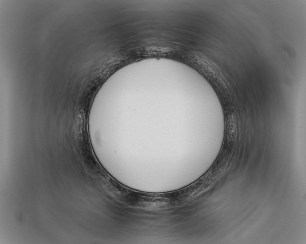 X0000113010463200909241356
