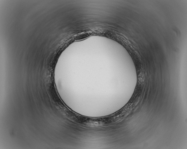 X0000113010464200909241356