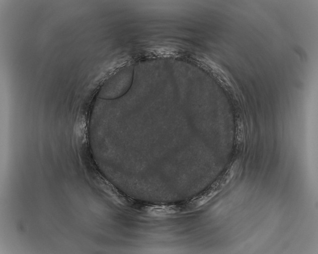 X0000113010465200909241356