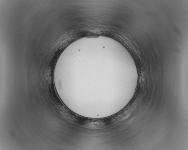 X0000113010466200909241356