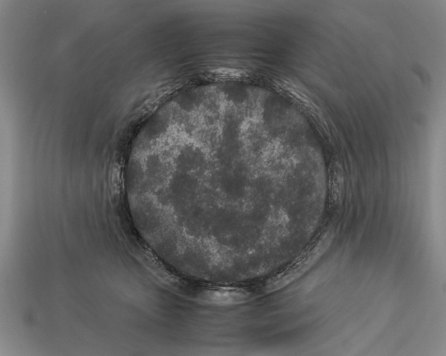 X0000113010467200909241356