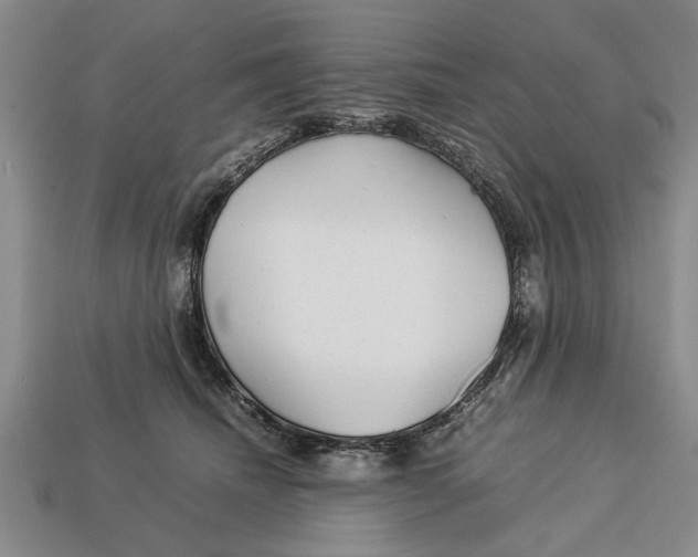 X0000113010468200909241356