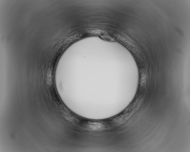 X0000113010469200909241356