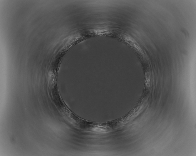 X0000113010471200909241356