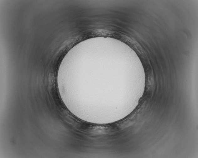 X0000113010473200909241356
