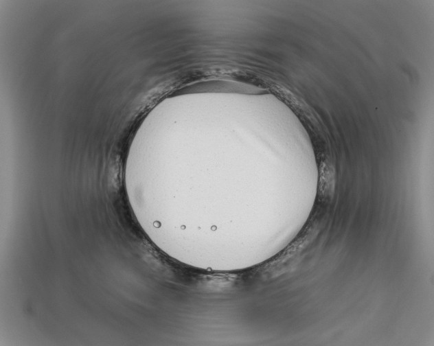 X0000113010474200909241356